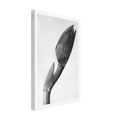 01dd1cd2-0477-4ec5-84ec-7e03633b1f78