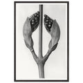 3428b701-c1d4-44aa-a56b-7f001893e883