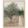 APPLE TREE IN BLOSSOM by Gustave Caillebotte — Framed art print at Zephyeer