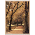 YERRES PATH THROUGH THE OLD GROWTH WOODS IN THE PARK by Gustave Caillebotte — Framed art print at Zephyeer
