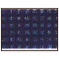 581e3801-dcb4-4ecf-89e1-64e604c342f7