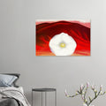 6cf56277-643e-4088-8da6-a560895e4669