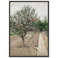 APPLE TREE IN BLOSSOM by Gustave Caillebotte — Framed art print at Zephyeer