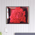 9dc652b9-af4d-4024-bae0-1390c4dea165