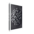 a4764ce3-d17b-4ae0-ad77-43de6cef74da