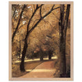YERRES PATH THROUGH THE OLD GROWTH WOODS IN THE PARK by Gustave Caillebotte — Framed art print at Zephyeer