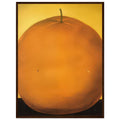 a9bcaddb-be13-482b-95be-fa033437aef6