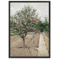 APPLE TREE IN BLOSSOM by Gustave Caillebotte — Framed art print at Zephyeer
