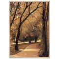 YERRES PATH THROUGH THE OLD GROWTH WOODS IN THE PARK by Gustave Caillebotte — Framed art print at Zephyeer