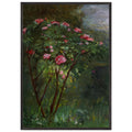 ROSE BUSH IN FLOWER by Gustave Caillebotte — Framed art print at Zephyeer