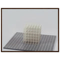 ec50bf84-7429-4a30-8662-cf664003982d