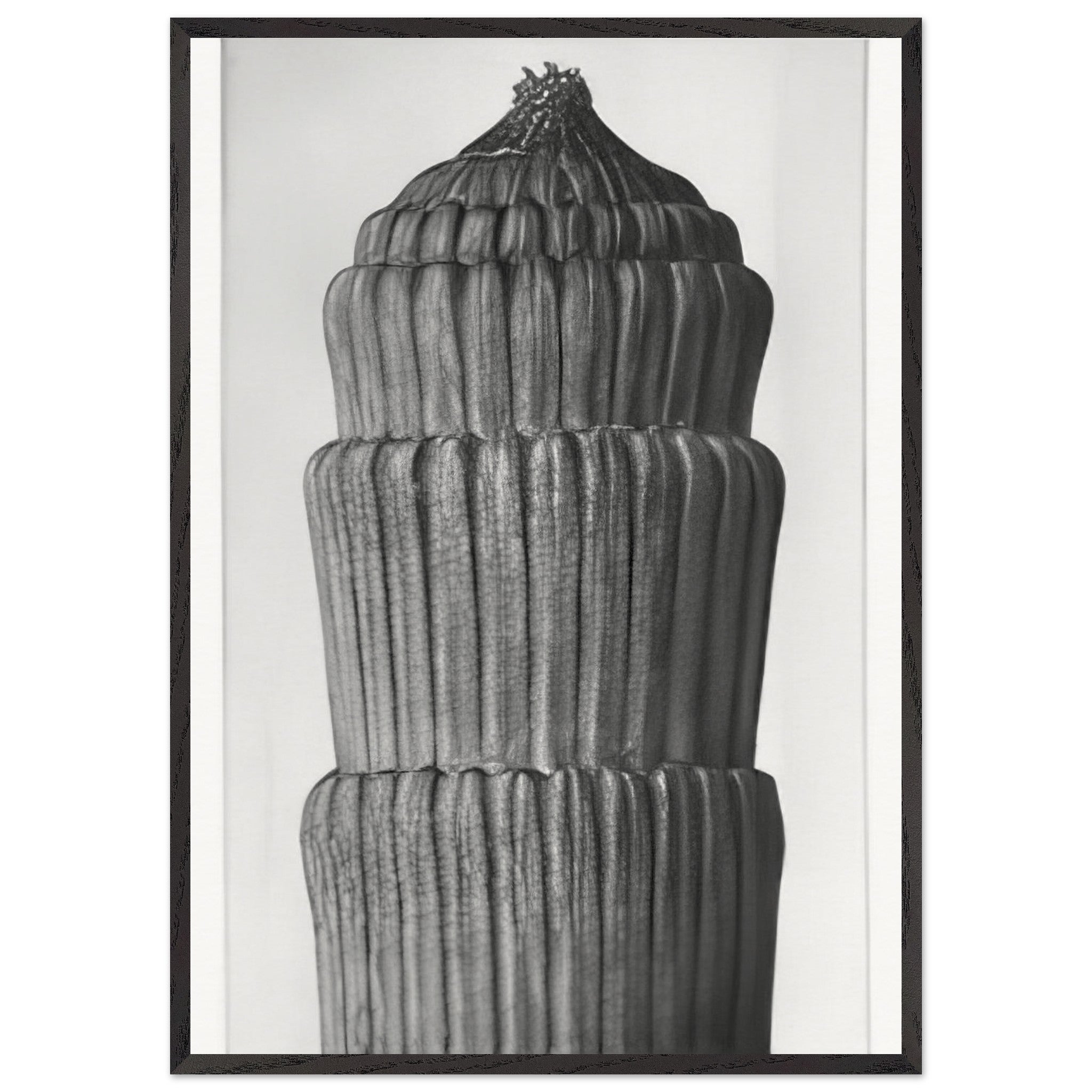 Art Forms in Nature 1 by Karl Blossfeldt — Framed art print at Zephyeer