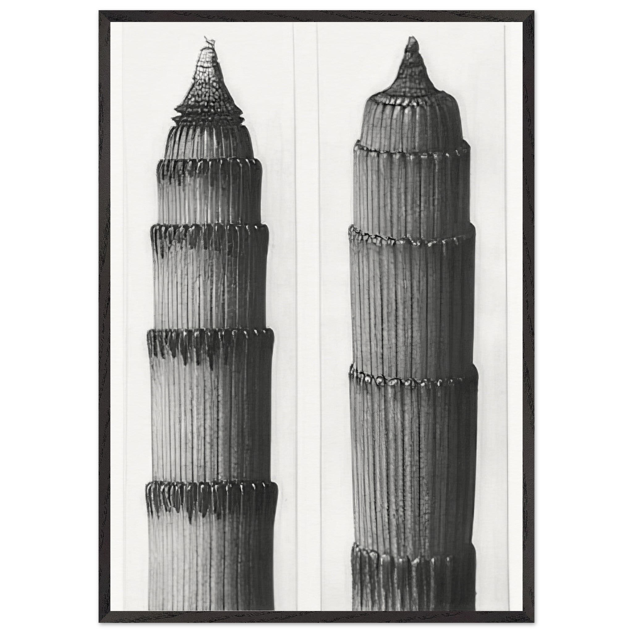 Art Forms in Nature 3 by Karl Blossfeldt — Framed art print at Zephyeer