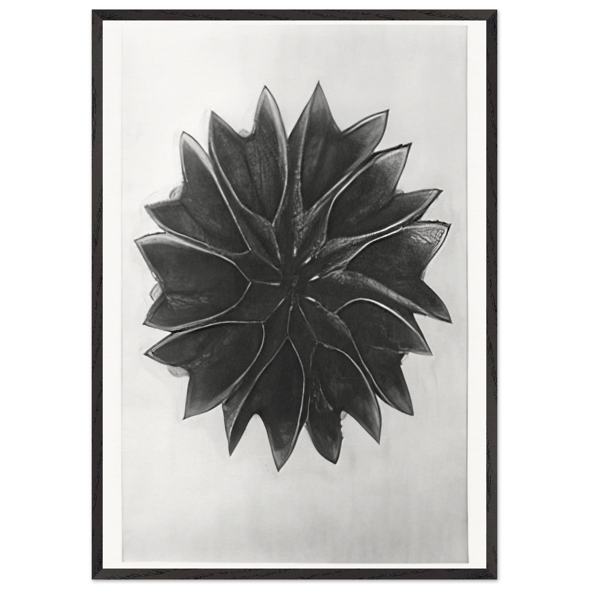 Art Forms in Nature 63 by Karl Blossfeldt — Framed art print at Zephyeer