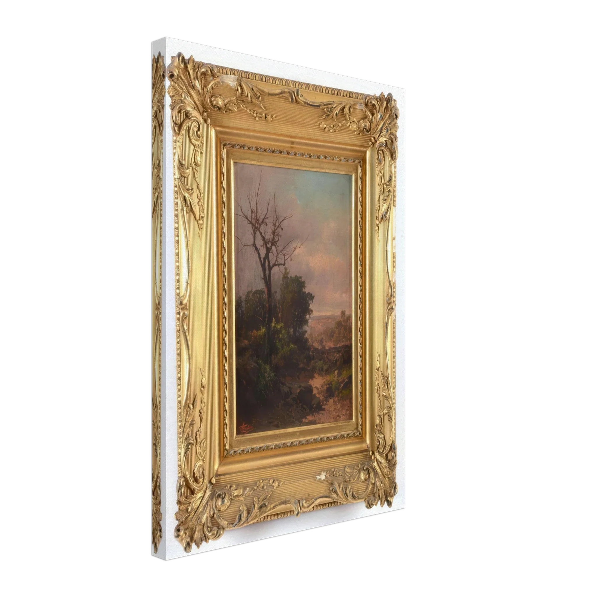 Maremma by Guido Agostini — Framed art print at Zephyeer