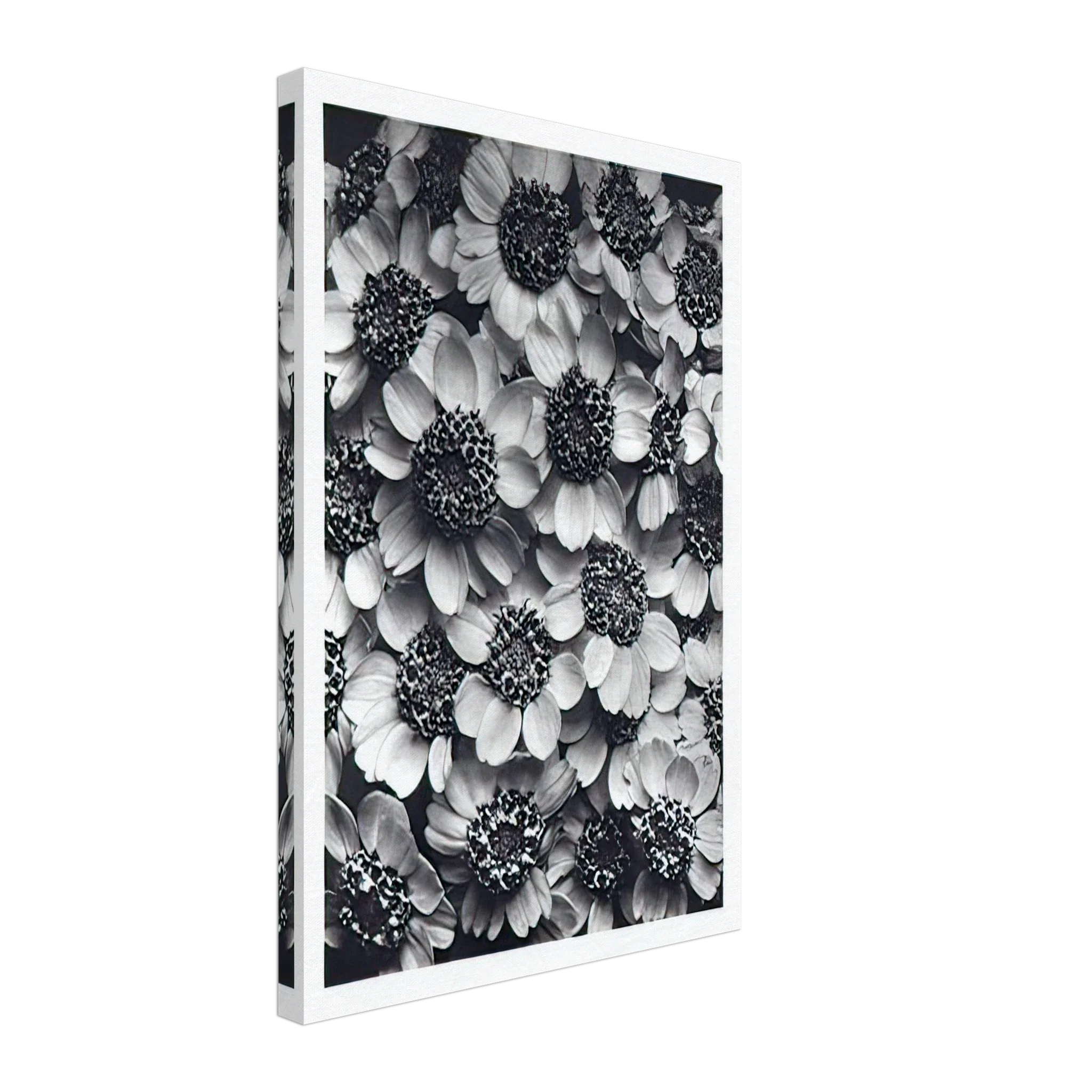 Art Forms in Nature 119 by Karl Blossfeldt — Framed art print at Zephyeer
