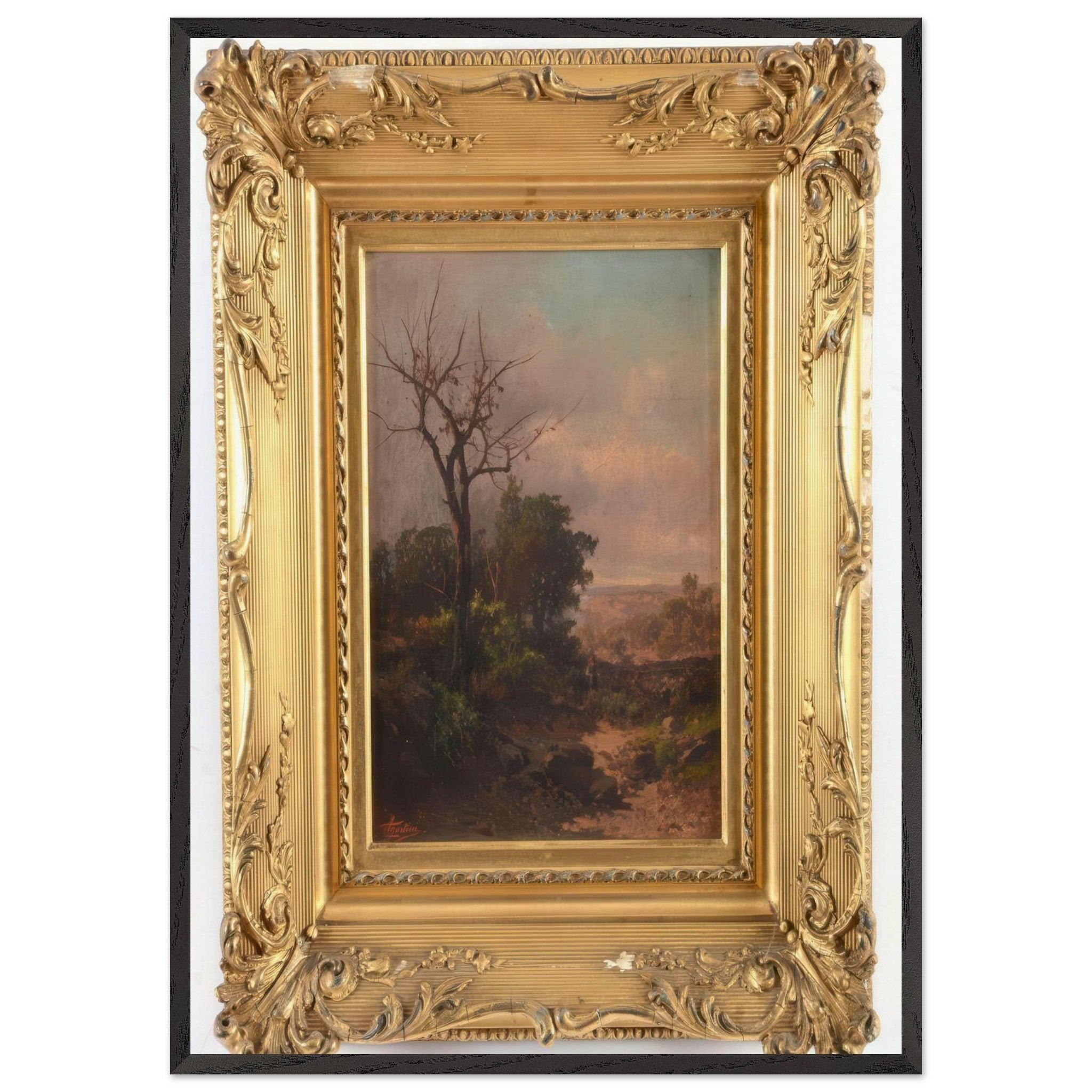 Maremma by Guido Agostini — Framed art print at Zephyeer