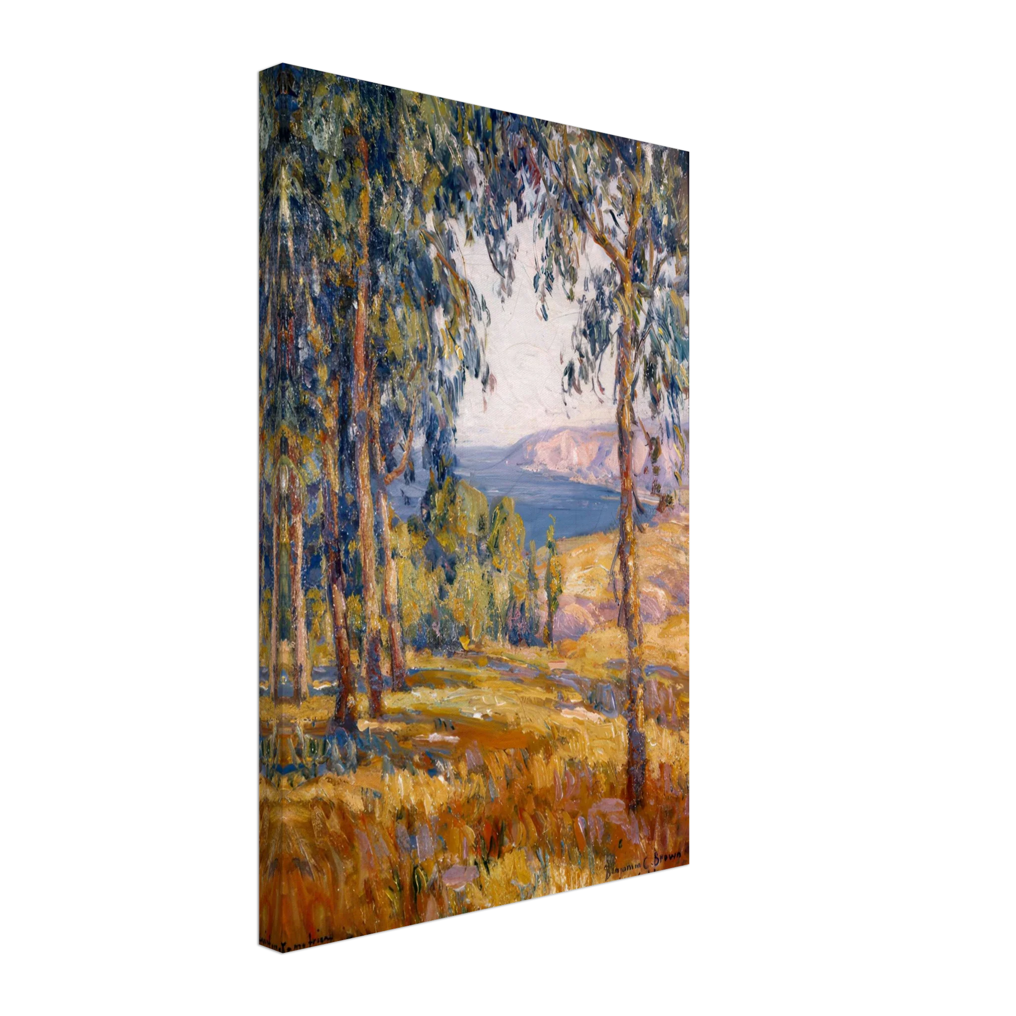 Laguna Vista by Benjamin Brown — Framed art print at Zephyeer