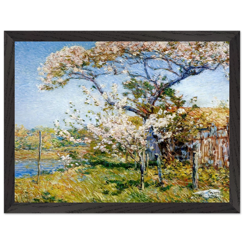 Apple Trees in Bloom, Old Lyme by Childe Hassam — Framed art print at Zephyeer