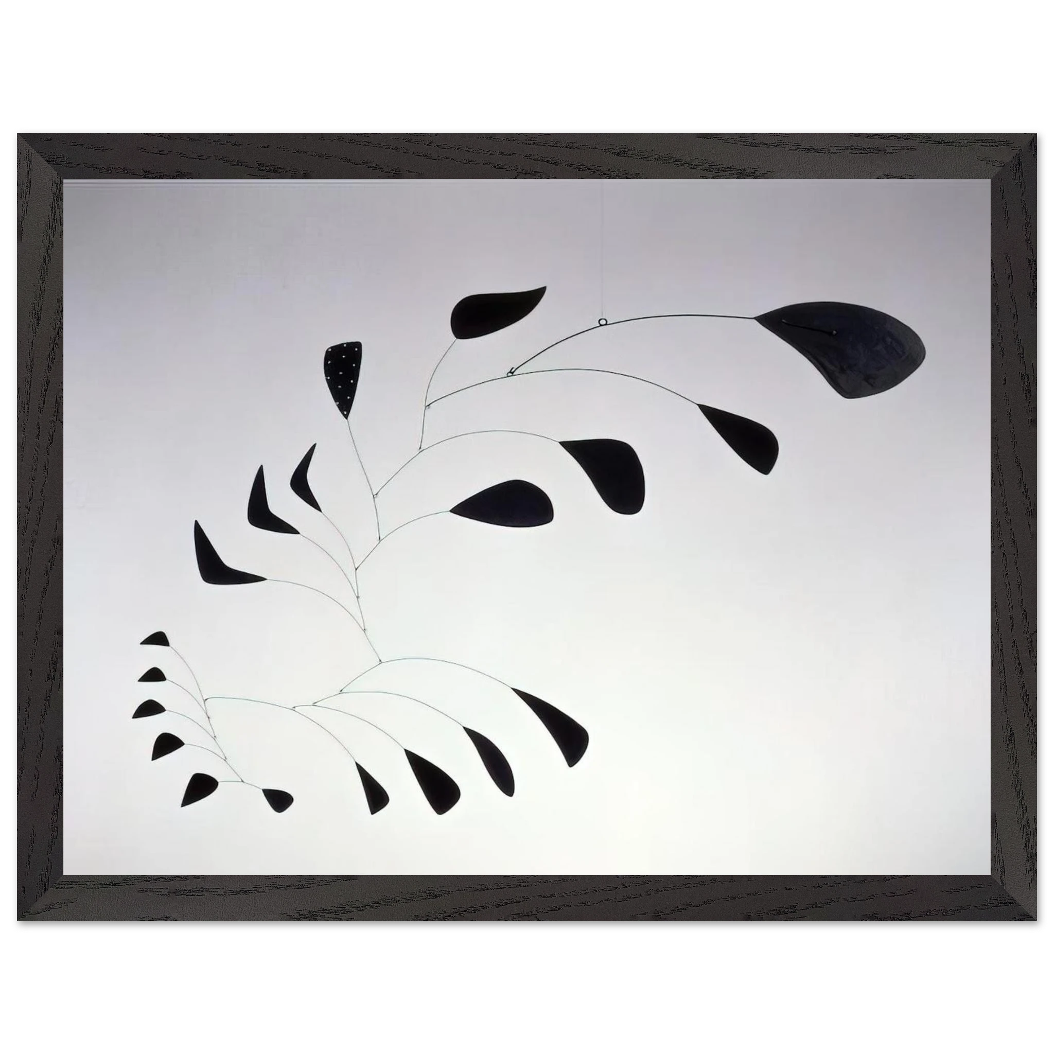 0185163d-bbc7-4480-91eb-29ff7e7b19c2