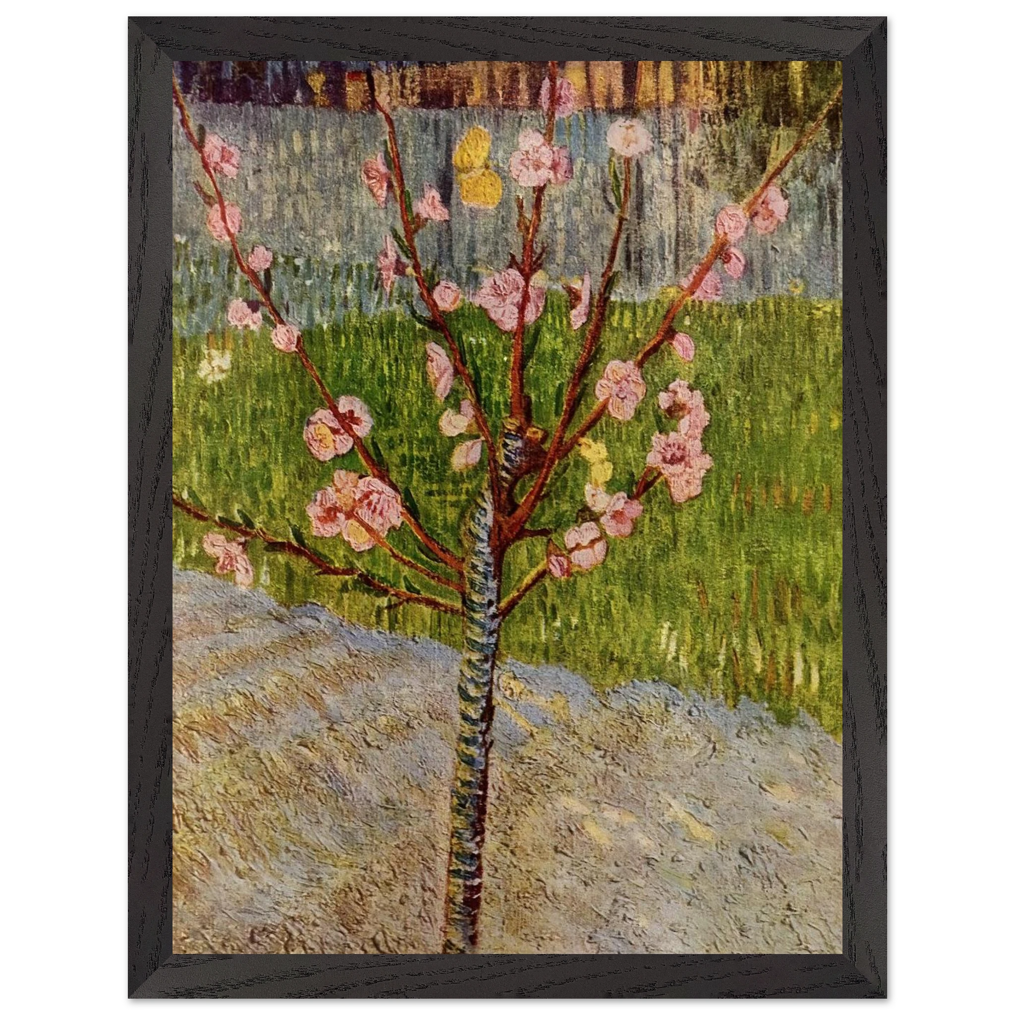 01ed0f77-97d8-4cc6-ae49-760568060715