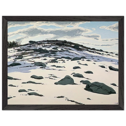 Shadow on Frankfort Barren - 1982 by Neil Welliver — Framed art print at Zephyeer