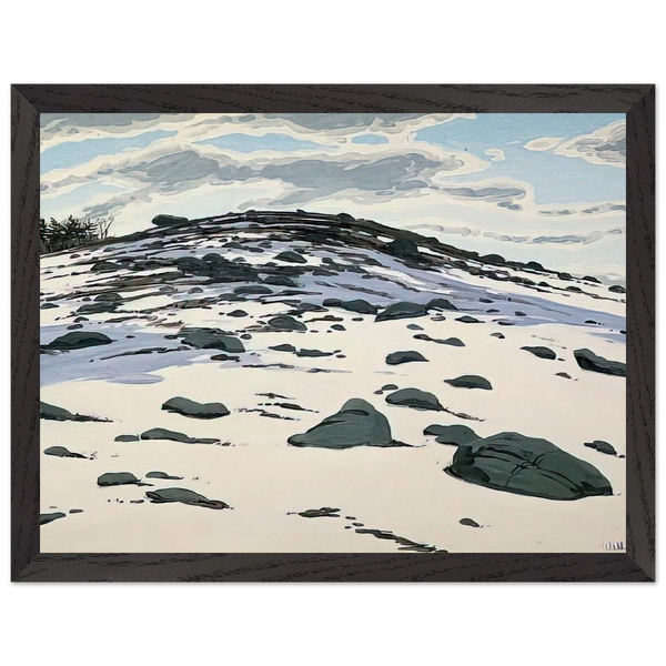 Shadow on Frankfort Barren - 1982 by Neil Welliver — Framed art print at Zephyeer