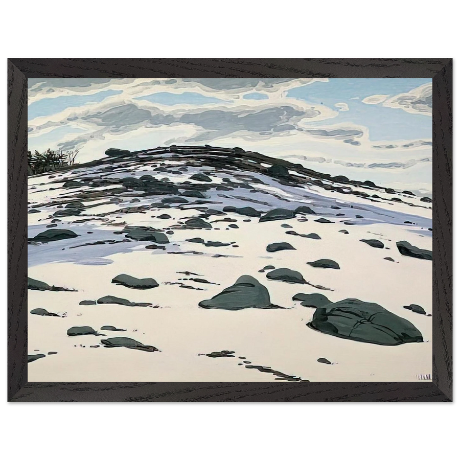 Shadow on Frankfort Barren - 1982 by Neil Welliver — Framed art print at Zephyeer