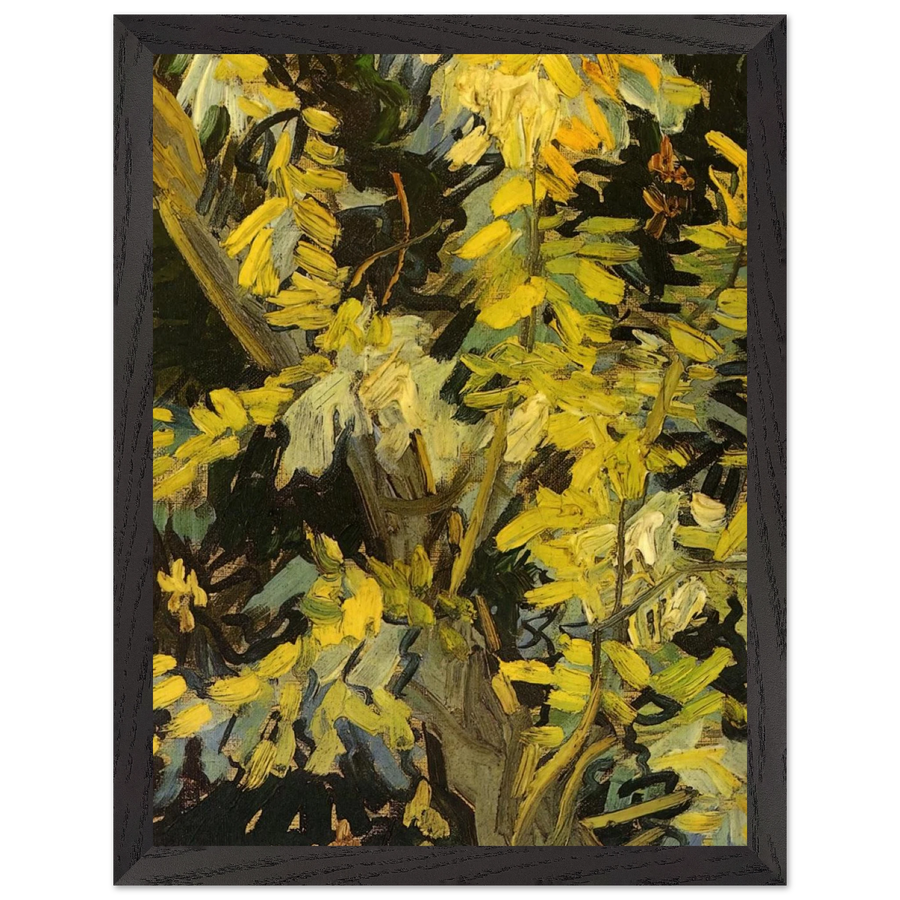 Blossoming Acacia Branches by Vincent van Gogh — Framed art print at Zephyeer