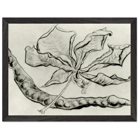 Dead Leaf and Pod by Vincent van Gogh — Framed art print at Zephyeer