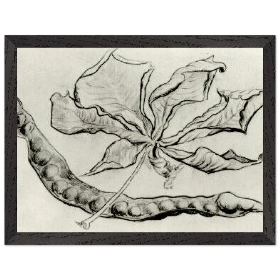 Dead Leaf and Pod by Vincent van Gogh — Framed art print at Zephyeer