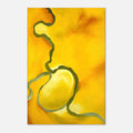 0d34ab9d-cdcf-4ee8-892a-8e669b9b7e78
