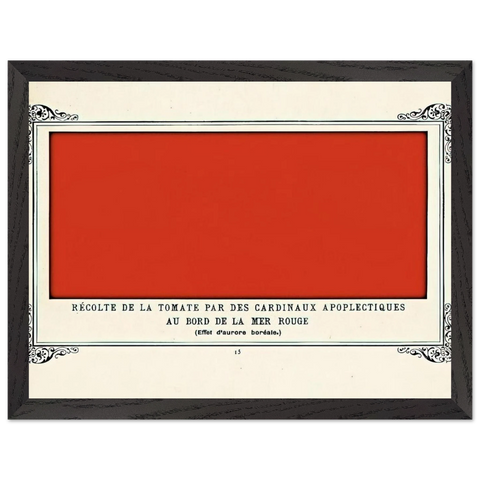 Apoplectic Cardinals Harvesting Tomatoes on the Shore of the Red Sea Study of the Aurora Borealis by Alphonse Allais — Framed art print at Zephyeer