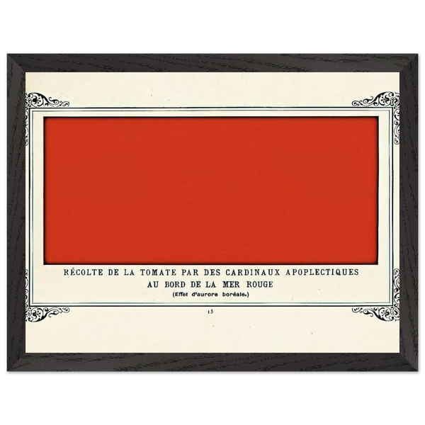 Apoplectic Cardinals Harvesting Tomatoes on the Shore of the Red Sea Study of the Aurora Borealis by Alphonse Allais — Framed art print at Zephyeer