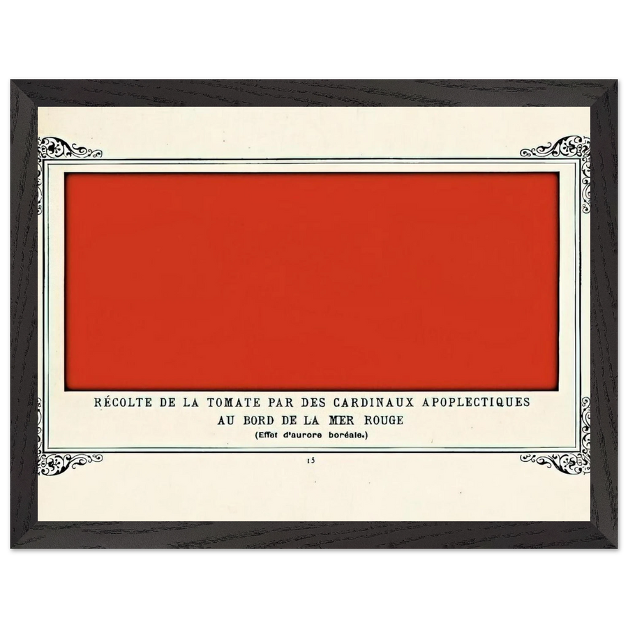 Apoplectic Cardinals Harvesting Tomatoes on the Shore of the Red Sea Study of the Aurora Borealis by Alphonse Allais — Framed art print at Zephyeer
