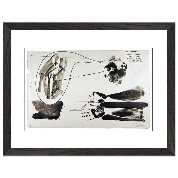 CARTOON FOR TANYA 1972 by Jasper Johns — Framed art print at Zephyeer