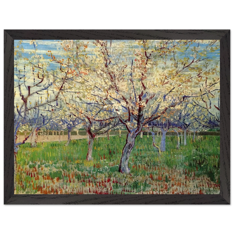 Orchard with Blossoming Apricot Trees by Vincent van Gogh — Framed art print at Zephyeer
