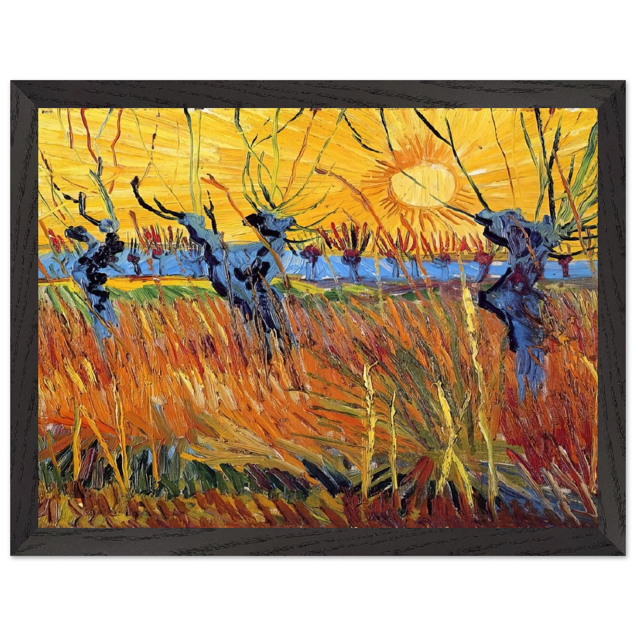 11e928fb-55c9-4f51-a793-0966d7e5f901