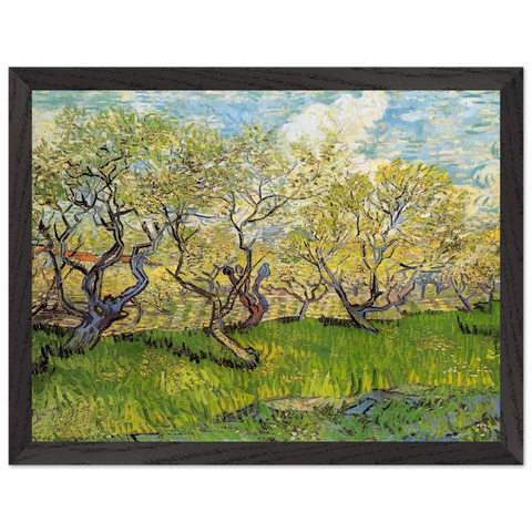 Orchard in Blossom by Vincent van Gogh — Framed art print at Zephyeer