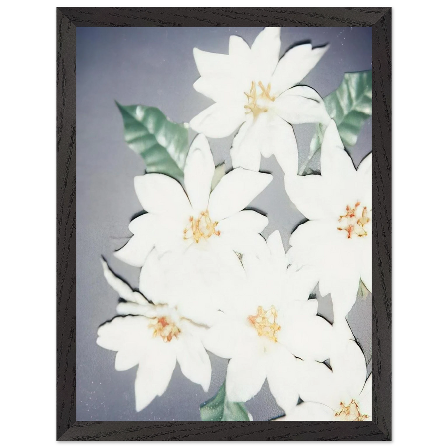 Christmas Poinsettias-White by Andy Warhol — Framed art print at Zephyeer
