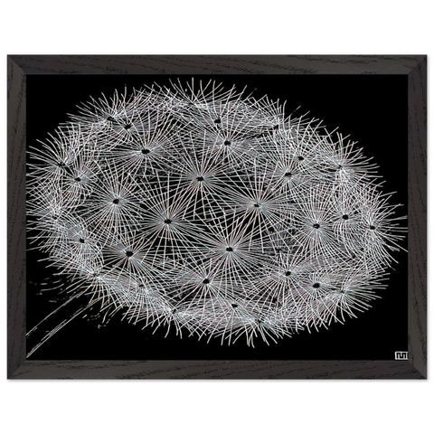 BLOWBALL II by MC Escher — Framed art print at Zephyeer