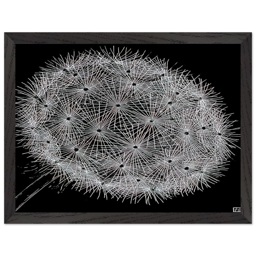 BLOWBALL II by MC Escher — Framed art print at Zephyeer