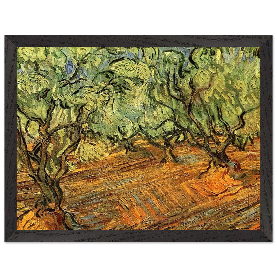 Olive Grove - Bright Blue Sky by Vincent van Gogh — Framed art print at Zephyeer