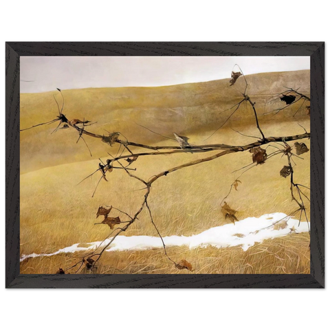 LONG LIMB by Andrew Wyeth — Framed art print at Zephyeer
