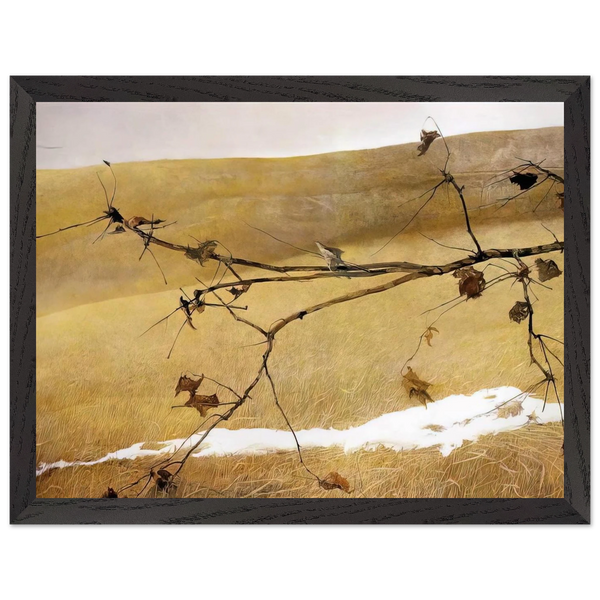 LONG LIMB by Andrew Wyeth — Framed art print at Zephyeer