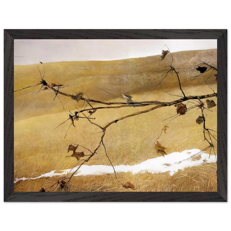 LONG LIMB by Andrew Wyeth — Framed art print at Zephyeer