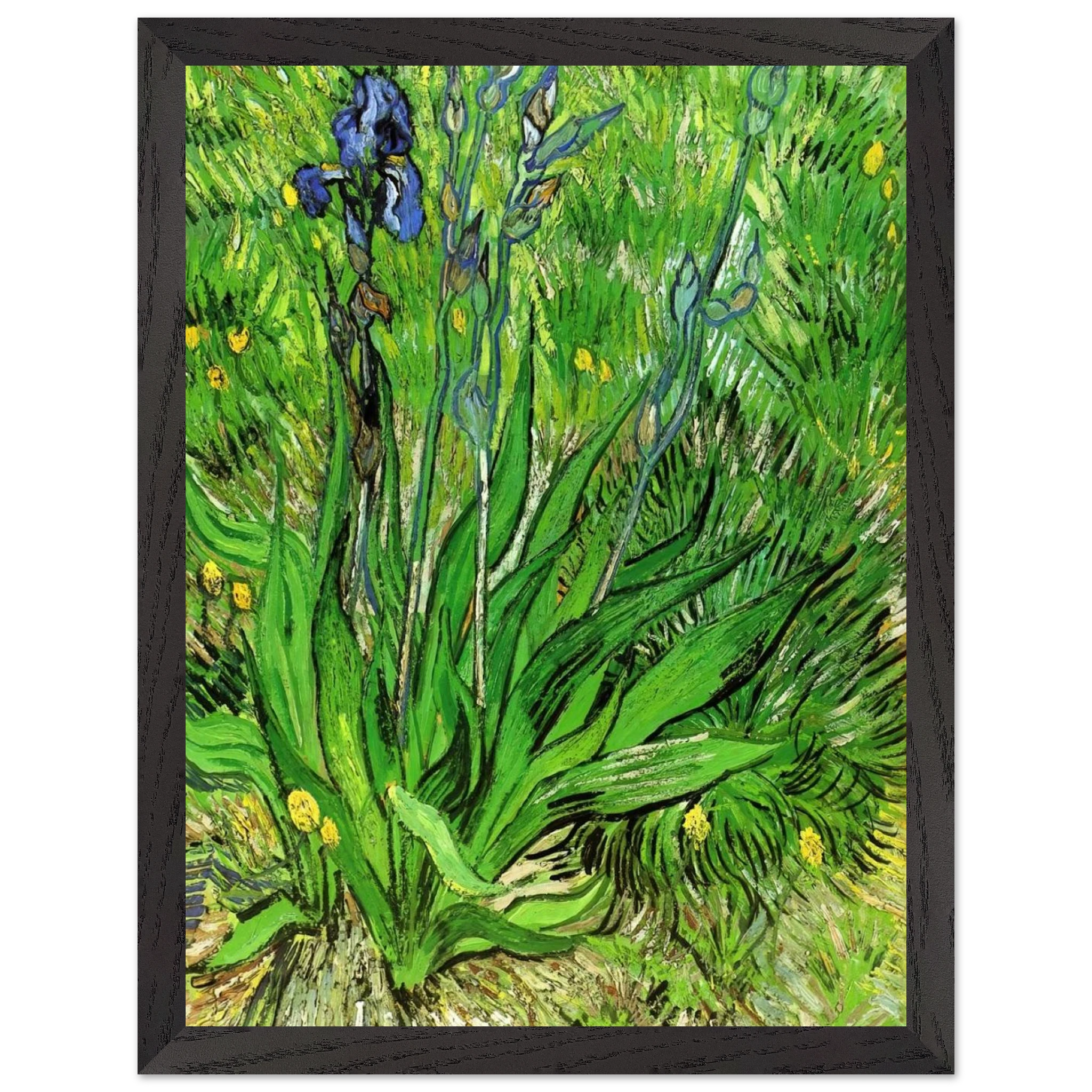 2071bab1-4419-4963-b20c-a8031d5d5dab