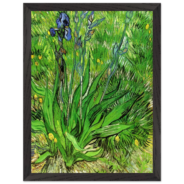 2071bab1-4419-4963-b20c-a8031d5d5dab