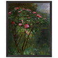 ROSE BUSH IN FLOWER by Gustave Caillebotte — Framed art print at Zephyeer