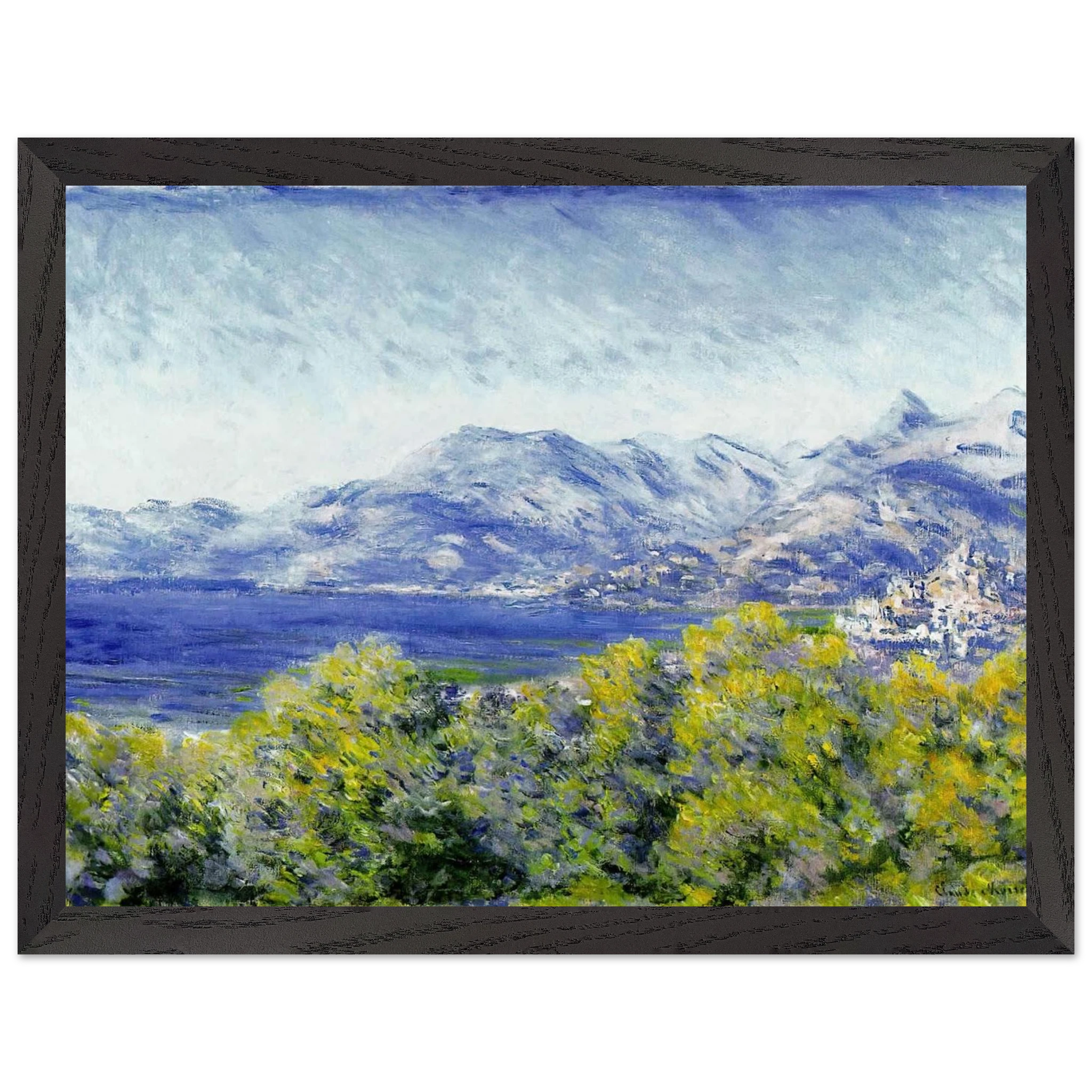 244205cc-b65f-44b8-b561-6e3021beae9d